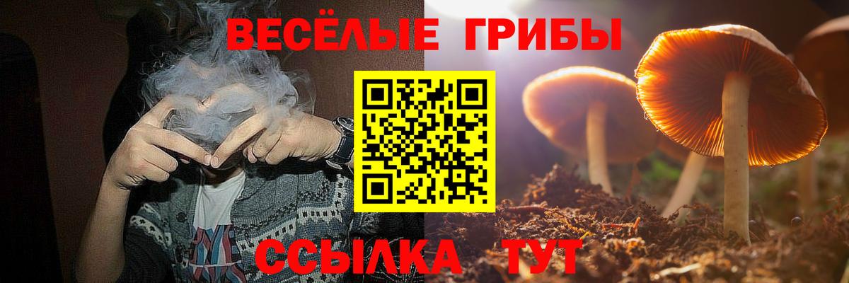 Псилоцибиновые грибы GOLDEN TEACHER Малгобек
